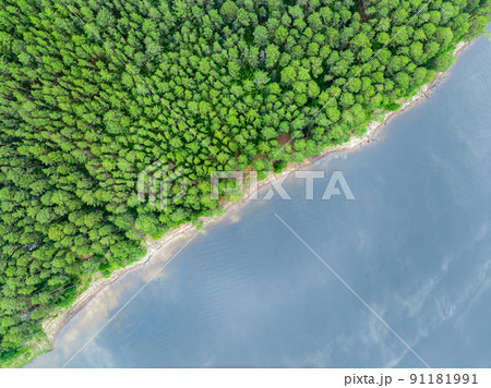 Aerial view of lake or river green shore with forest. Summer season. Aerial view of lake or river green shore with forest. Summer season. 91181991