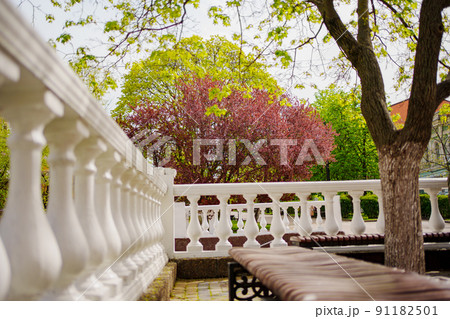 Spring Park. red blossoming tree. beauty of spring nature. walks around city. 91182501