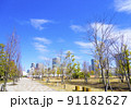 春の芝浦中央公園（東京都港区） 91182627