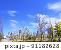 春の芝浦中央公園（東京都港区） 91182628