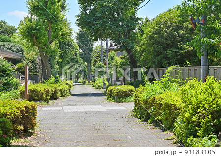 大宮盆栽村　埼玉県さいたま市 91183105