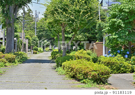 大宮盆栽村 埼玉県さいたま市 大宮盆栽村 埼玉県さいたま市 91183119