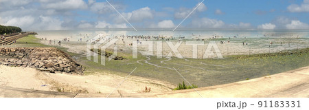 潮干狩りパノラマフォトショップ加工 潮干狩りパノラマフォトショップ加工 91183331