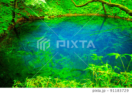 鮮やかなコバルトブルーに輝く神秘的な青池 91183729