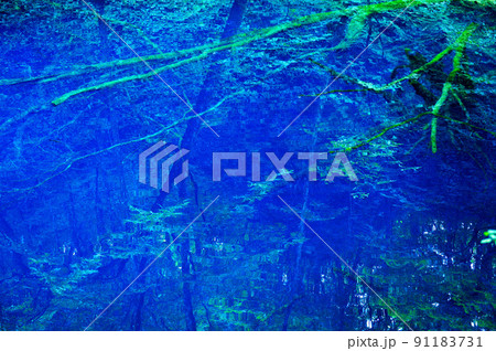 鮮やかなコバルトブルーに輝く神秘的な青池 鮮やかなコバルトブルーに輝く神秘的な青池 91183731