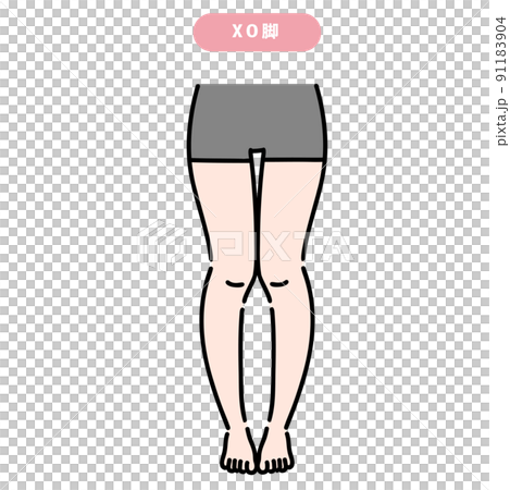 Female lower body with XO legs 91183904
