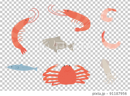 蝦、蟹、魚和魷魚的手繪插圖集（彩色/無輪廓） 91187956