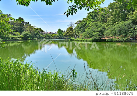 大宮公園　ボート池　埼玉県営都市公園 91188679