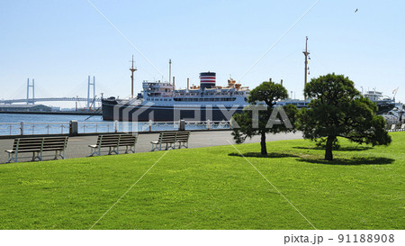 神奈川県横浜市山下公園の初夏 91188908
