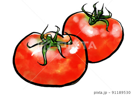 トマト Tomato の手書きイラスト 筆書き墨絵風 のイラスト素材