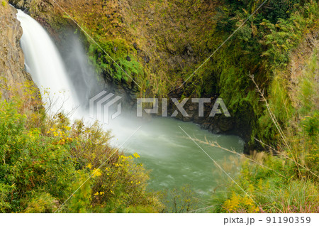 数鹿流ヶ滝（すがるがたき）展望所「秋の紅葉景色」南阿蘇村 91190359