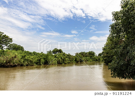 A picture of a riverside landscape in Thailand during the day. The sunlight is bright, with trees covering the shore. blue sky 91191224