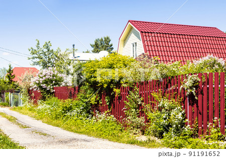 dirt road in summer cottage village in sunny day 91191652