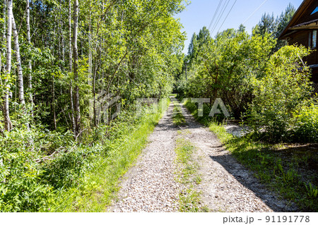 dirt road with ruts covered with gravel 91191778