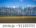 北海道十勝の夏空と畑 91192332
