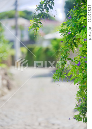 沖縄県那覇市金城町石畳道2 沖縄県那覇市金城町石畳道2 91192335