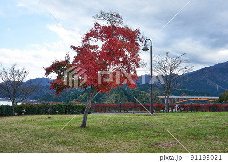 宮ヶ瀬　鳥居原　湖畔庭園 91193021
