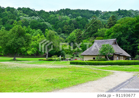 近江風土紀の丘 近江風土紀の丘 91193677