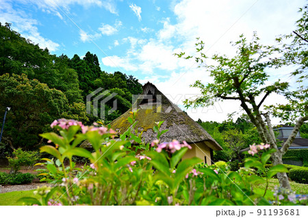 近江風土紀の丘 91193681