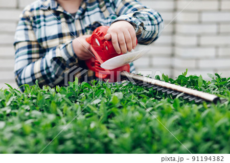 Cutting a shrub with an electric brush cutter. 91194382