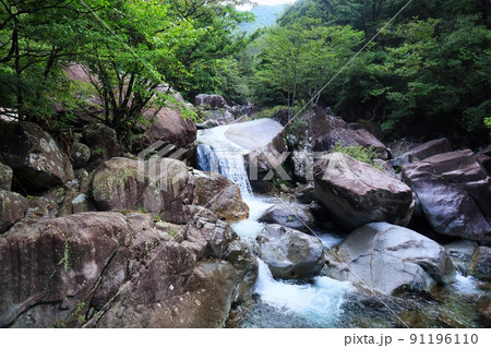 苔むした岩と美しい清らかなせせらぎの流れ 91196110