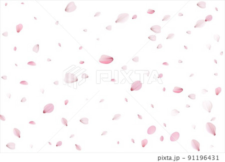 Cherry petals backdrop. Sakura petals background. Cherry petals backdrop. Sakura petals background. 91196431