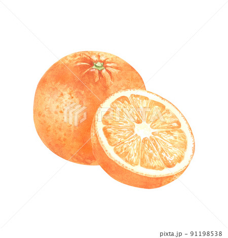 Watercolor oranges. Hand drawn illustration of whole fruit and a half. Element for packaging design. 91198538