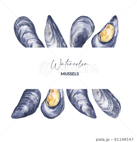Design with watercolor illustrated mussel Design with watercolor illustrated mussel 91198547