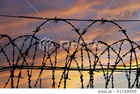 Contour of barbed wire on the background of the sunset orange sky Contour of barbed wire on the background of the sunset orange sky 91199989