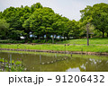 公園内の池 91206432