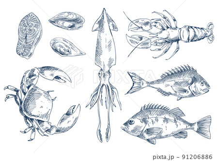 Sea Delicacy Vector Illustration Sketch Style Set Sea Delicacy Vector Illustration Sketch Style Set 91206886
