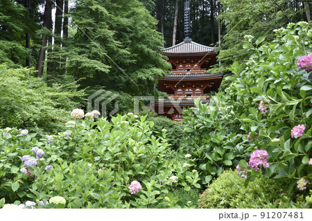 緑に囲まれた三重塔 岩船寺 緑に囲まれた三重塔 岩船寺 91207481