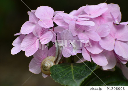 山田池公園 山田池公園 91208008