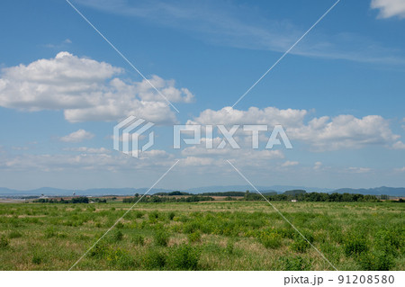 緑の牧草畑と山並み 91208580