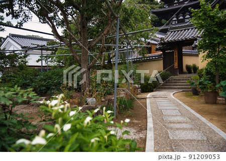 當麻寺西南院_入り口山門 當麻寺西南院_入り口山門 91209053
