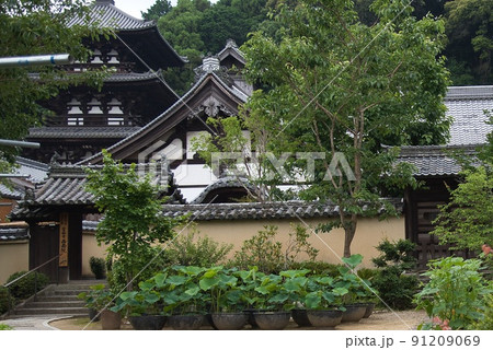 當麻寺西南院_山門と塔 當麻寺西南院_山門と塔 91209069