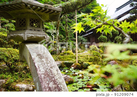 當麻寺西南院_庭園の灯籠と松と池 當麻寺西南院_庭園の灯籠と松と池 91209074