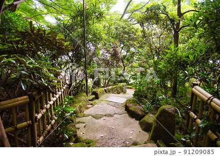 當麻寺中乃坊_香藕園の二本の樹木ら 91209085