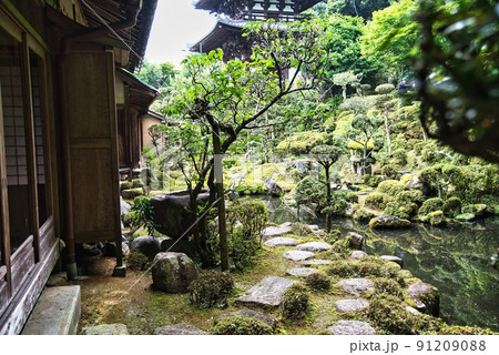 當麻寺中之坊_香藕園の二本の樹木 當麻寺中之坊_香藕園の二本の樹木 91209088