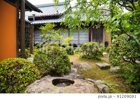 當麻寺中之坊_香藕園の二本の樹木 當麻寺中之坊_香藕園の二本の樹木 91209091