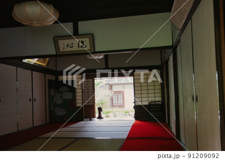 當麻寺中之坊_香藕園の二本の樹木 當麻寺中之坊_香藕園の二本の樹木 91209092