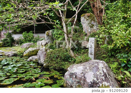 當麻寺中之坊_香藕園心字の池 當麻寺中之坊_香藕園心字の池 91209120