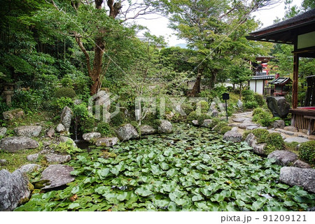 當麻寺中之坊_香藕園心字の池とはす 91209121