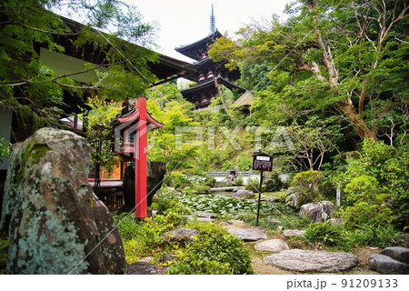 當麻寺中之坊_香藕園飛石と池と塔 91209133