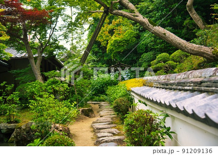 當麻寺中之坊_香藕園塀の苔と飛石 當麻寺中之坊_香藕園塀の苔と飛石 91209136