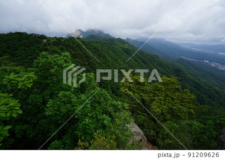 グリーン ハイキング 森 91209626