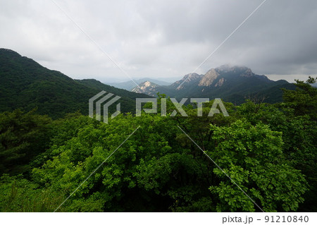 外 グリーン 観光 91210840