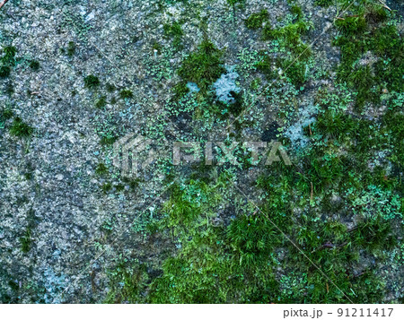 Beautiful colorful texture of natural stone.  91211417
