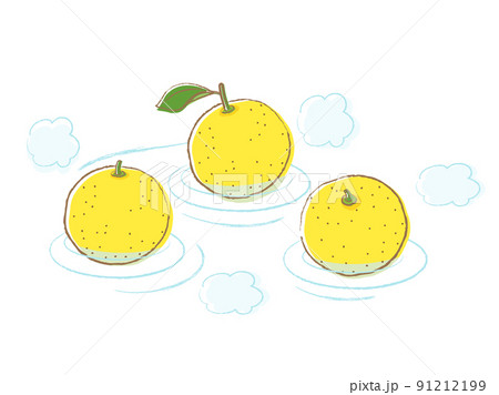 ゆず湯をイメージしたイラスト 91212199