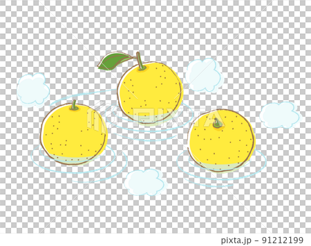 ゆず湯をイメージしたイラスト 91212199